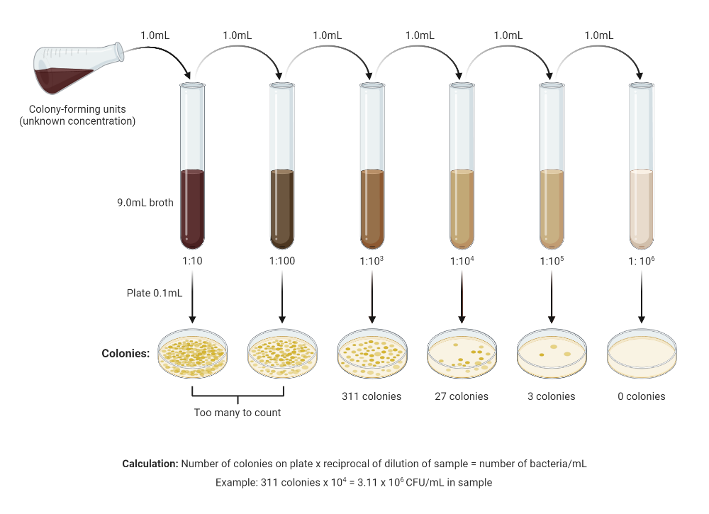 BioRender App