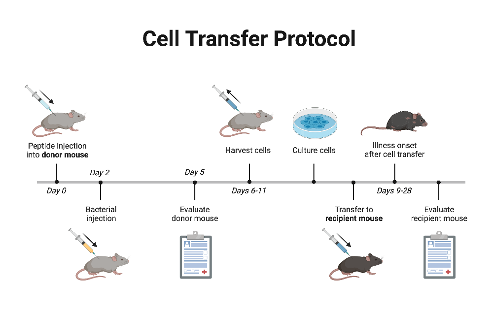 BioRender App