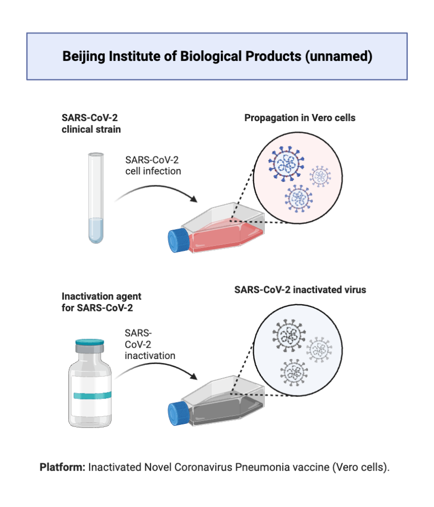 BioRender App