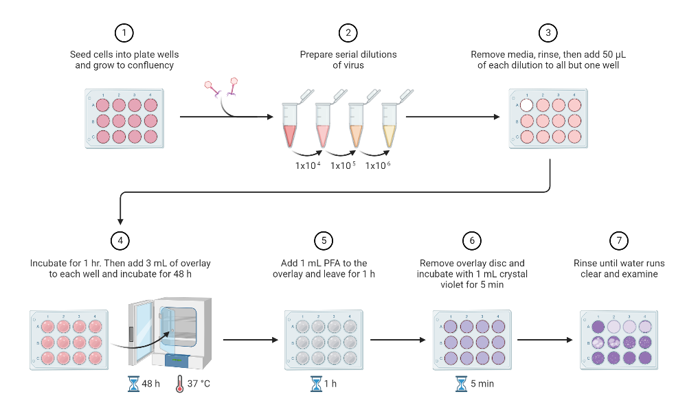 BioRender App