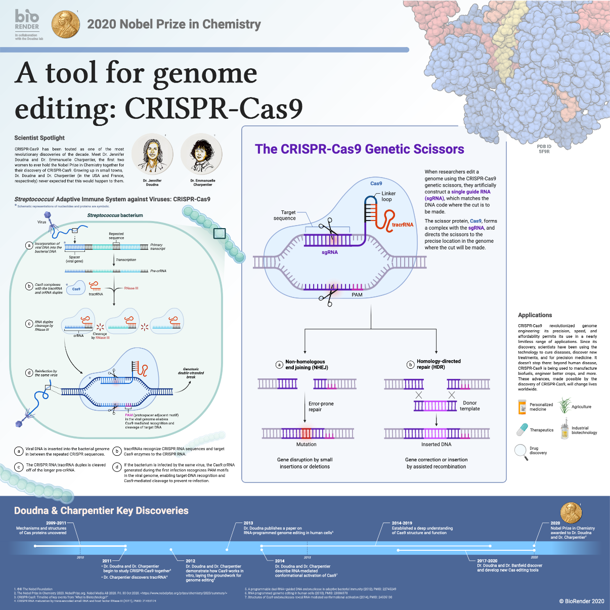 Biorender. Nobel Prize in Chemistry 2020. Нобелевская премия за CRISPR cas9. Нобелевская премия по химии 2020 года.