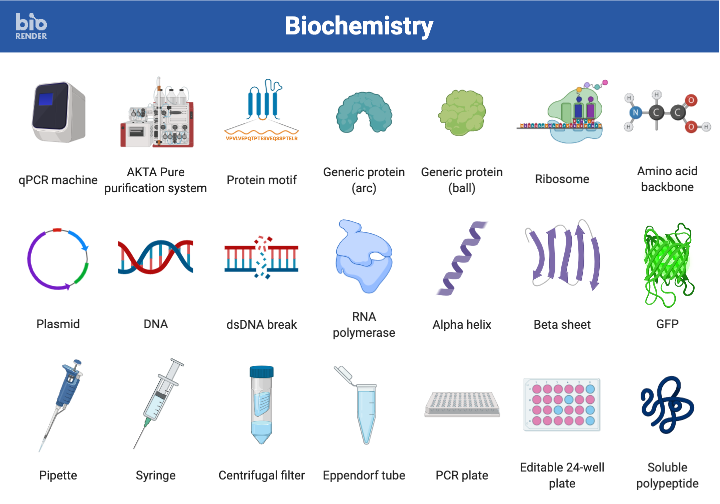 BioRender App