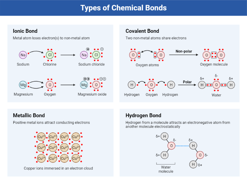 Biorender. Chemical Bond. Chemical Bonds LEGO. Chemical bonding is.