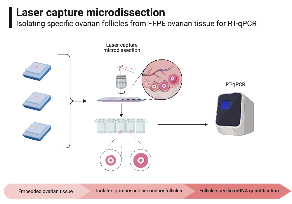 BioRender App