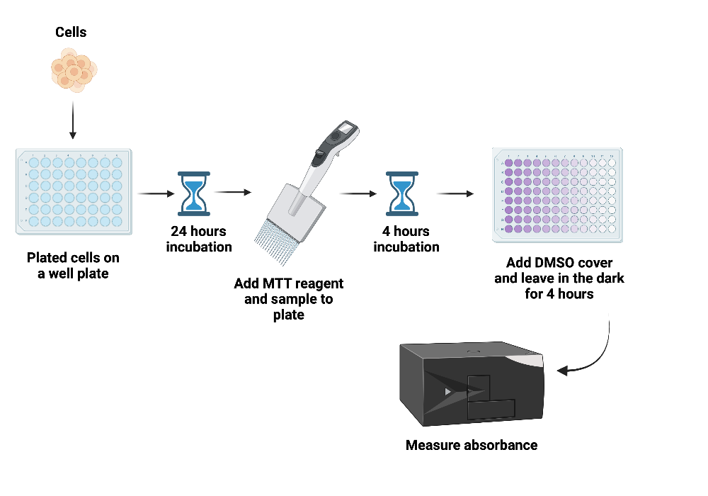 BioRender App