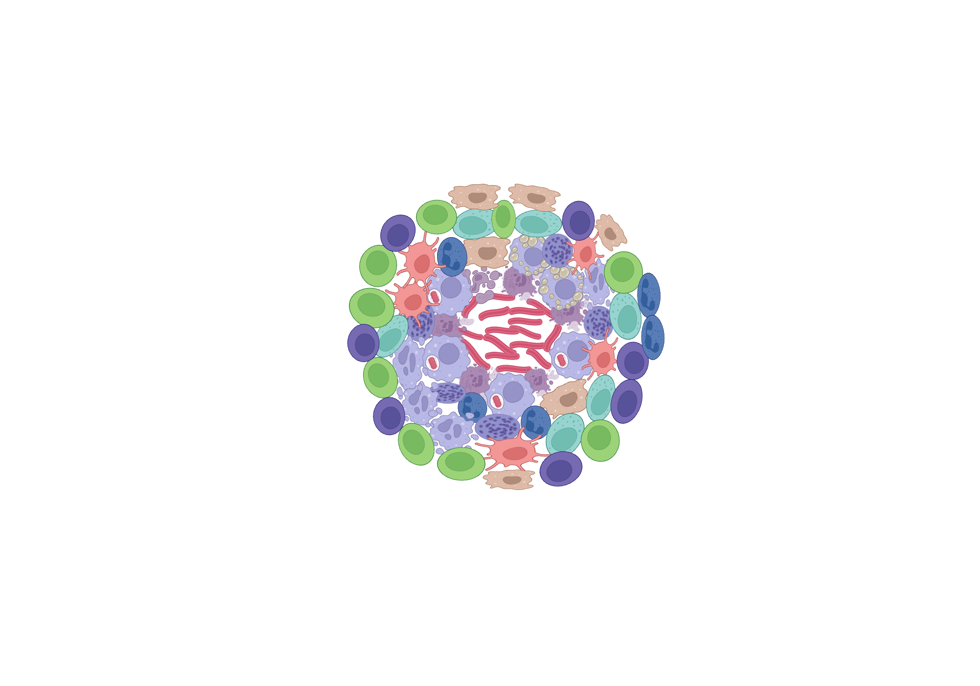 BioRender App