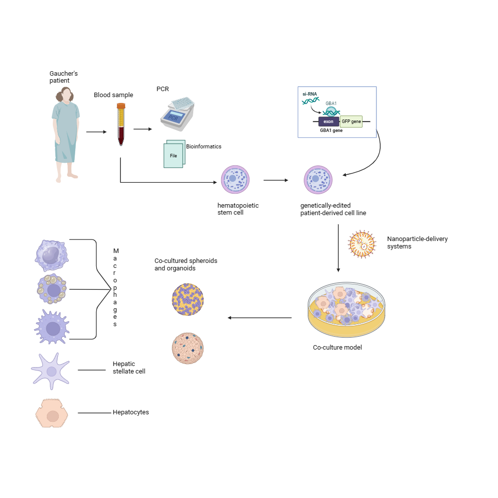 BioRender App