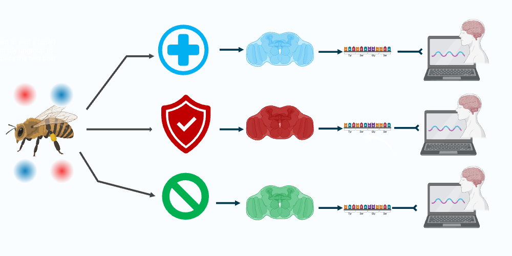 BioRender App