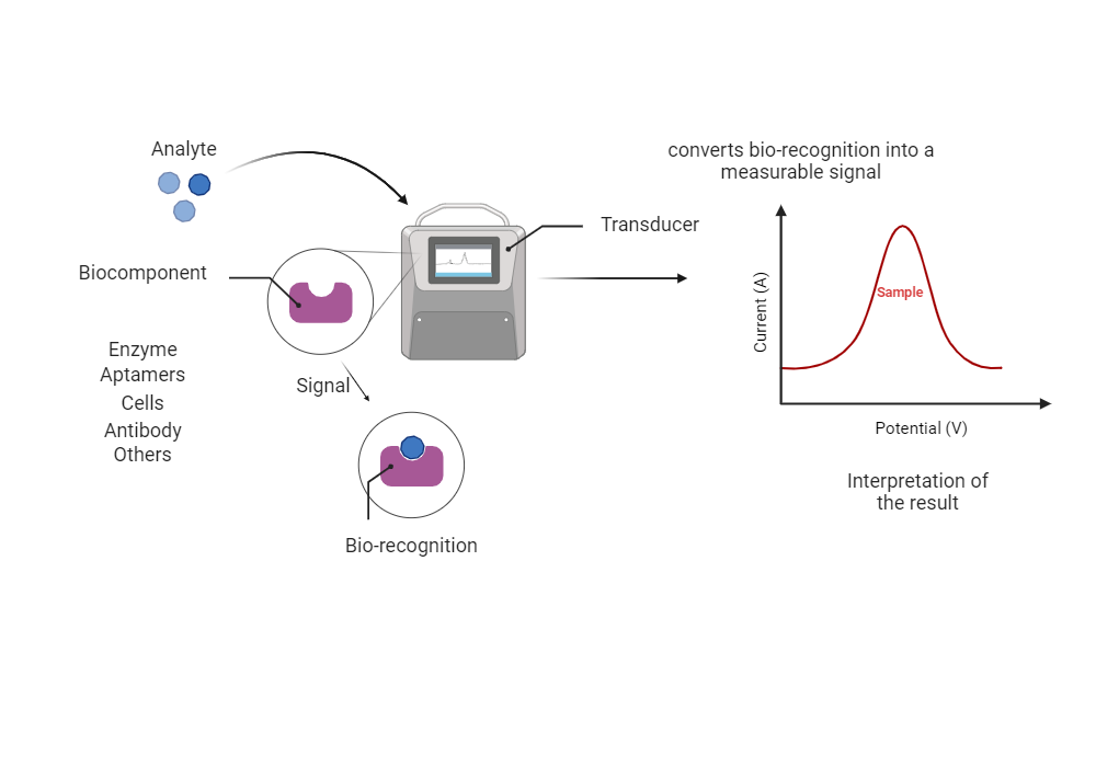 BioRender App