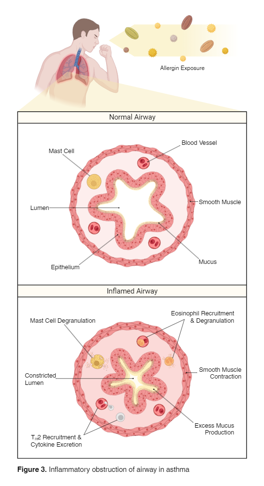 BioRender App