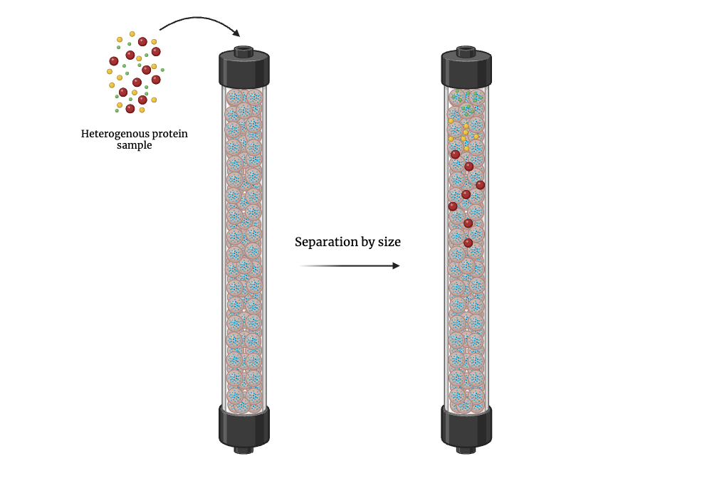 BioRender App