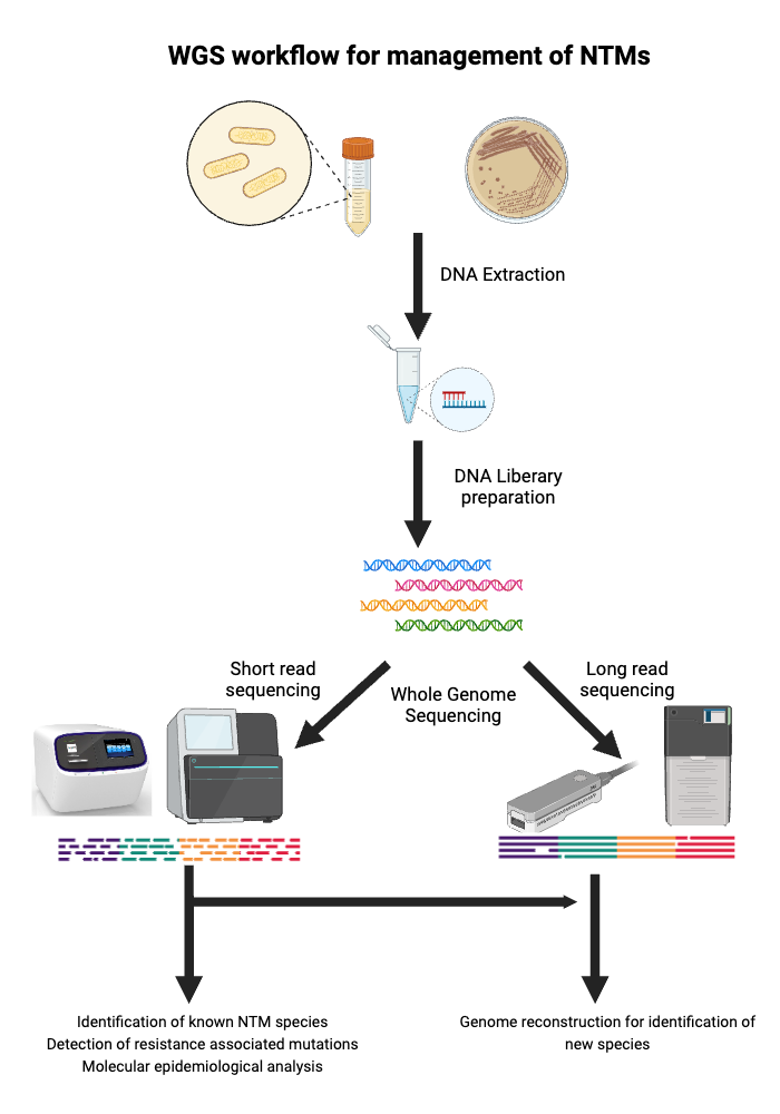 BioRender App