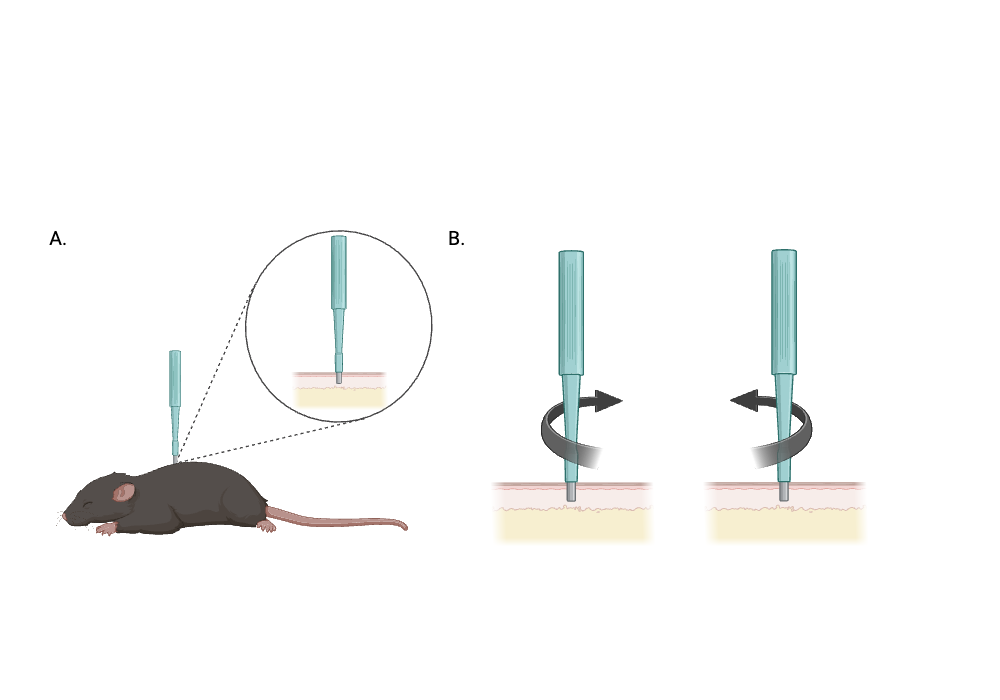 BioRender App
