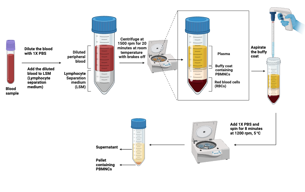 BioRender App