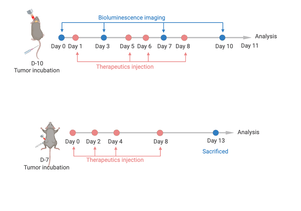 BioRender App