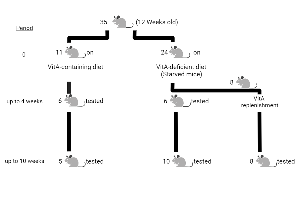 BioRender App