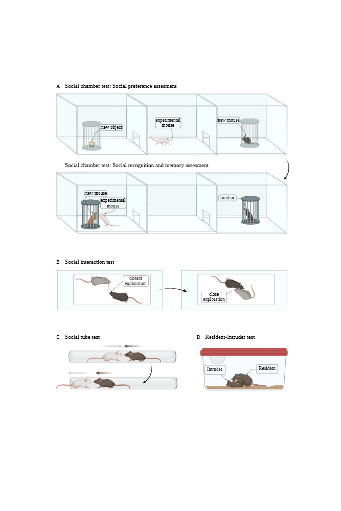 BioRender App