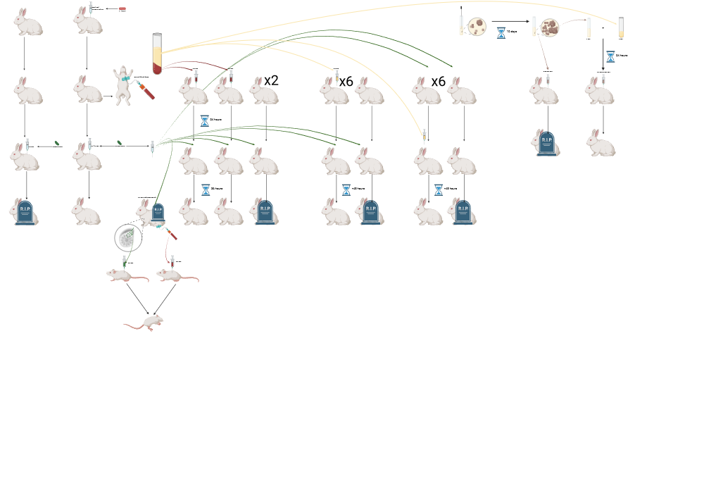 BioRender App