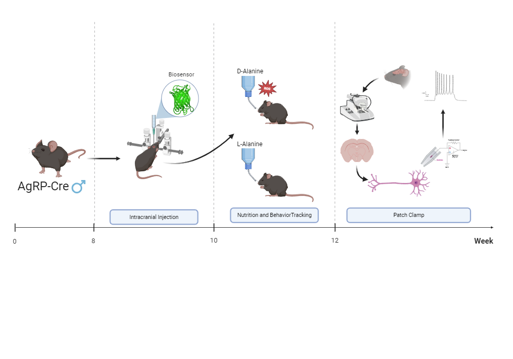 BioRender App