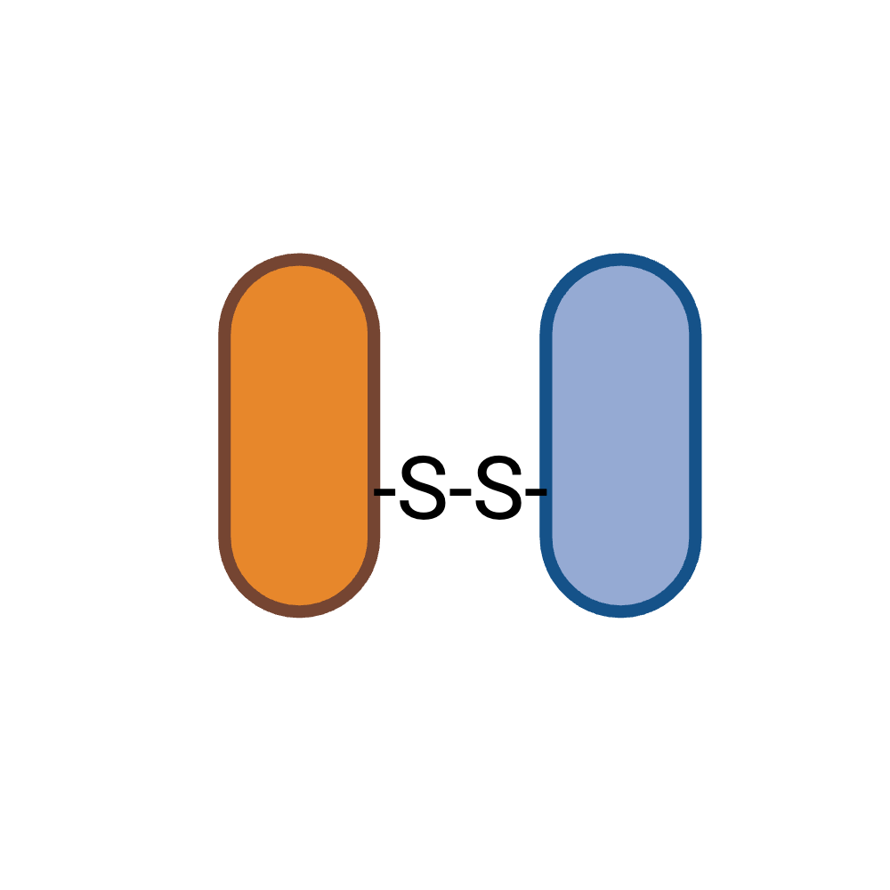 BioRender App