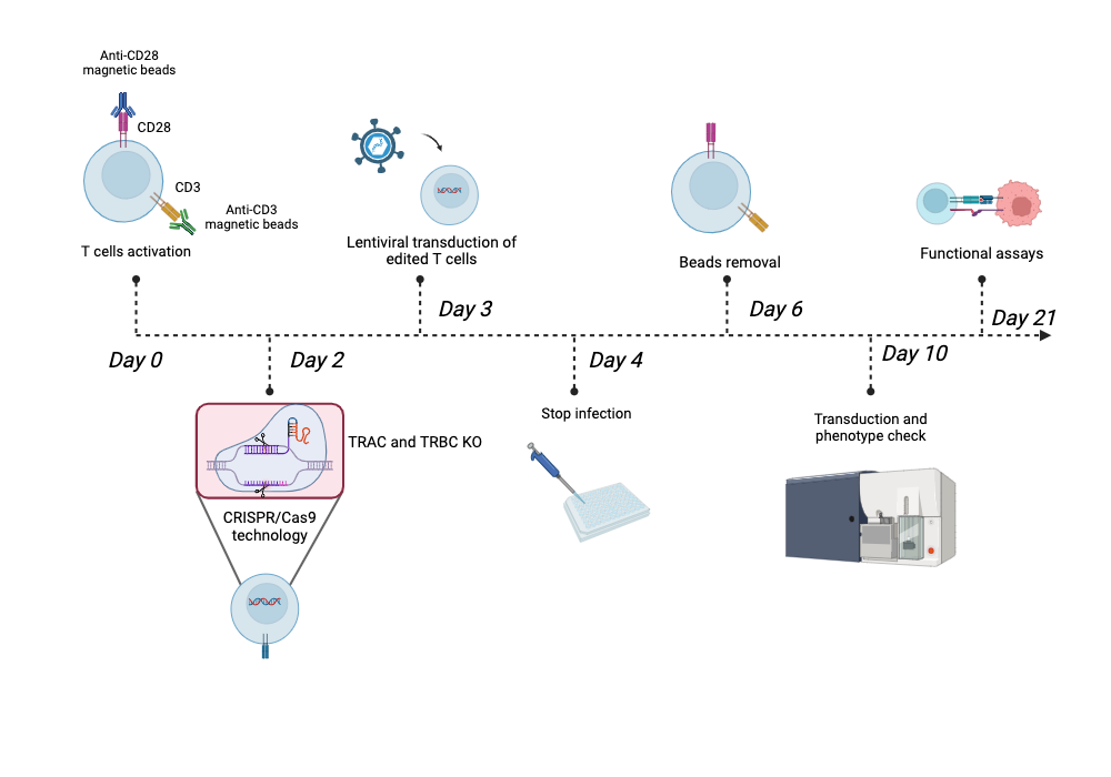 BioRender App