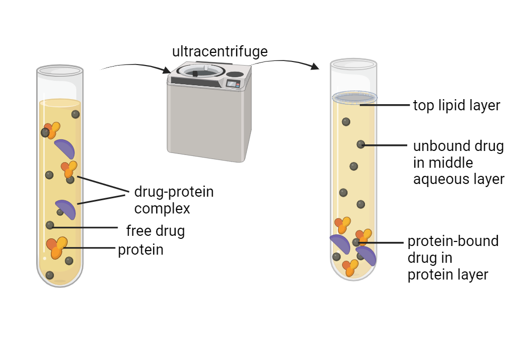 BioRender App