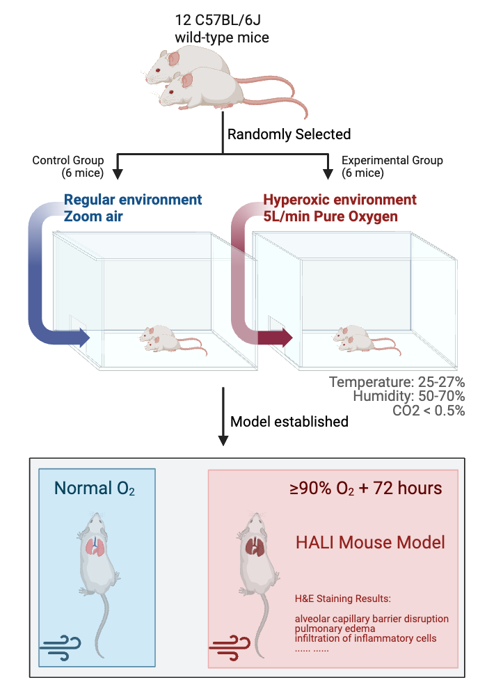 BioRender App