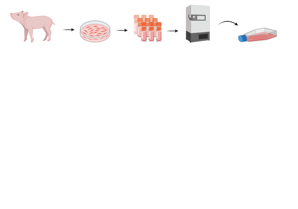 BioRender App