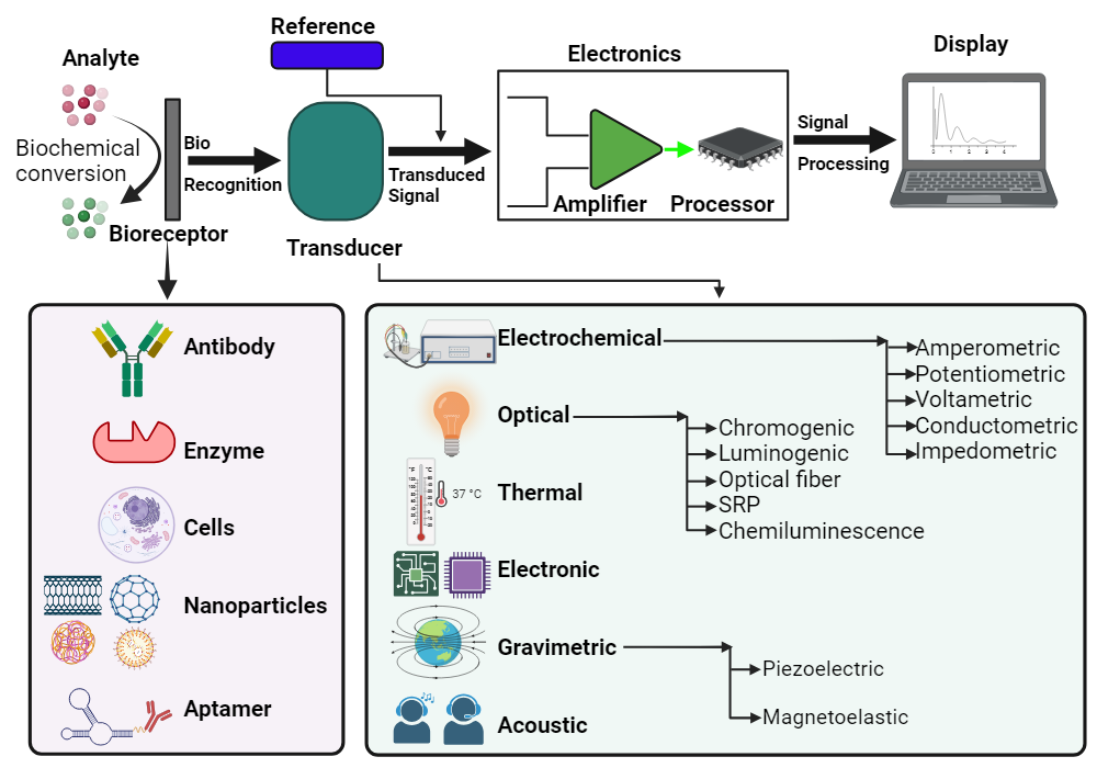 BioRender App