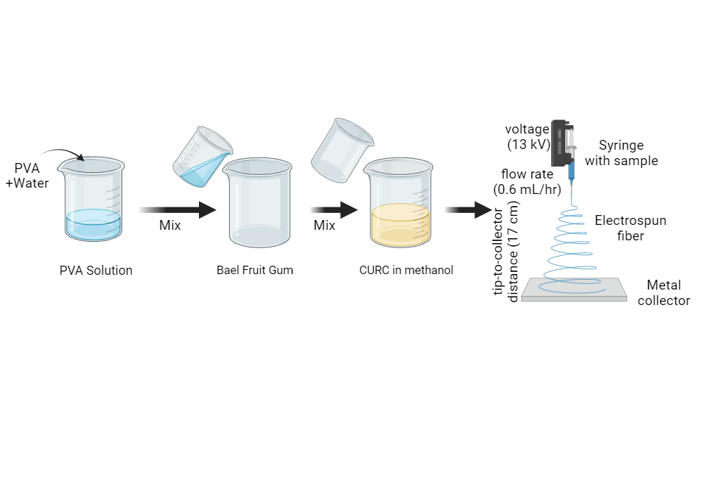 BioRender App