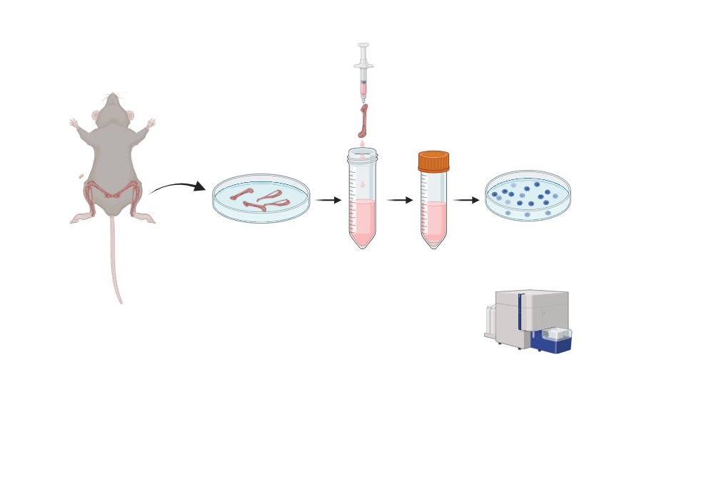 BioRender App