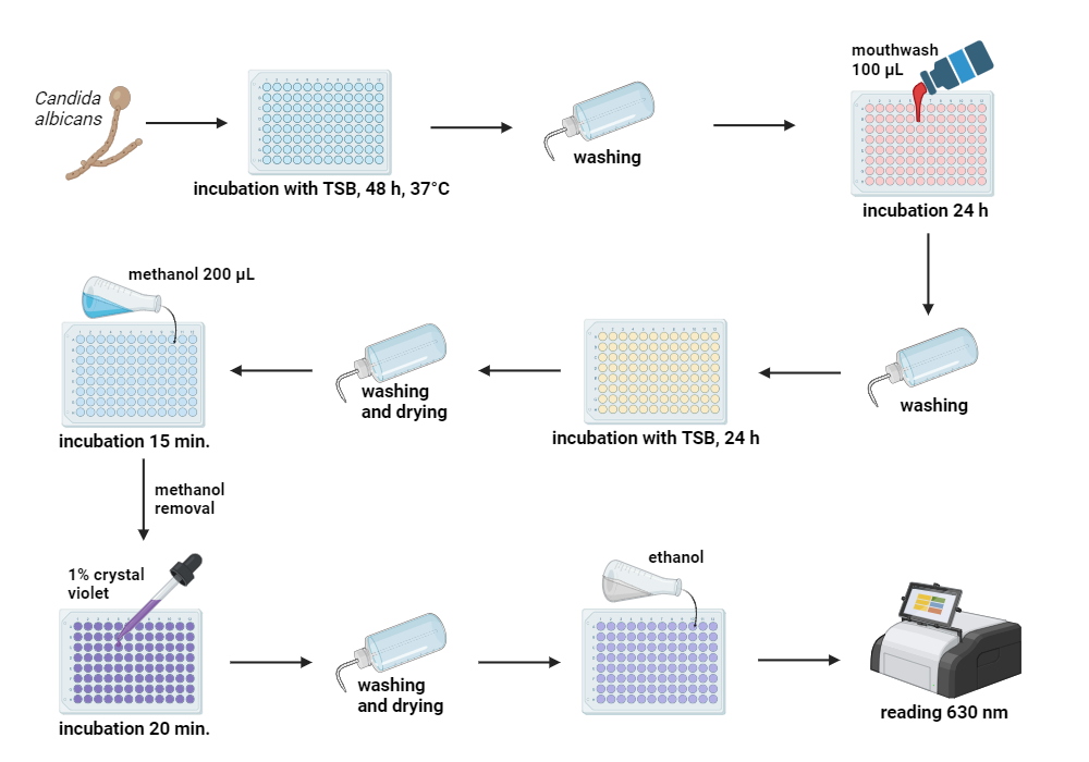 BioRender App
