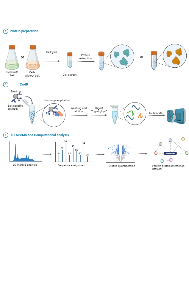 BioRender App