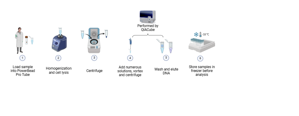 BioRender App