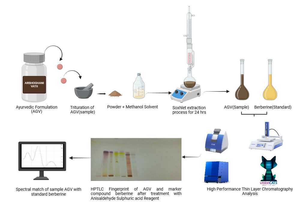 BioRender App